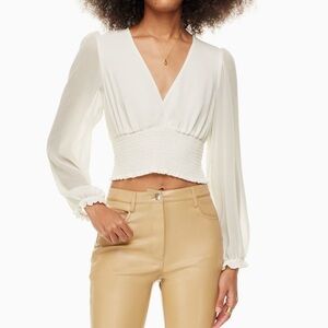 EUC Aritzia Wilfred Wistful Blouse